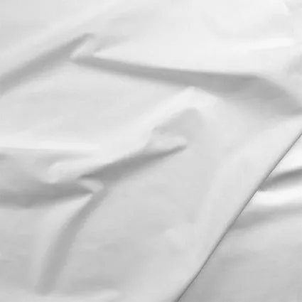 000 Painter's Palette White
