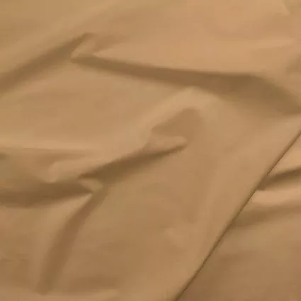 006 Painter's Palette Tan