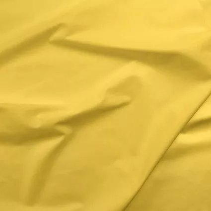 007 Painter's Palette Maize