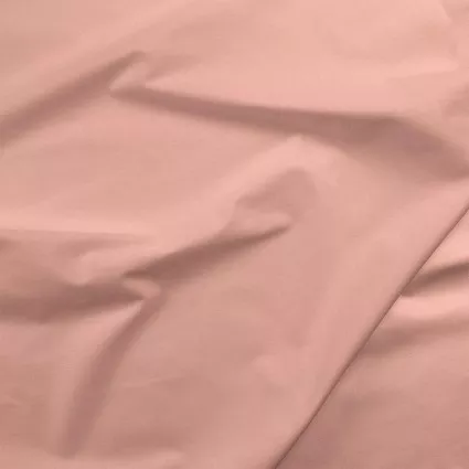 023 Painter's Palette Rose