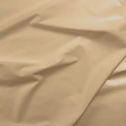045 Painter's Palette Tea Dye