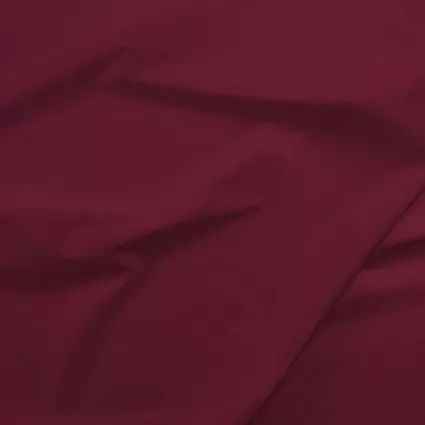 051 Painter's Palette Claret