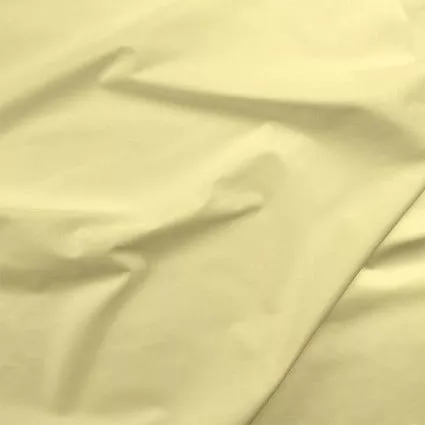 063 Painter's Palette Citrus Yellow