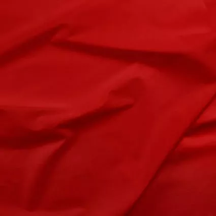 067 Painter's Palette Christmas Red