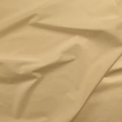 070 Painter's Palette Beige