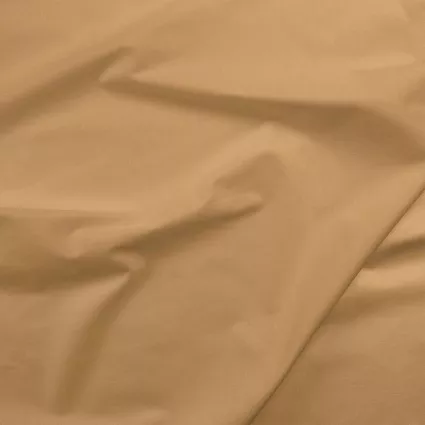086 Painter's Palette Wheat