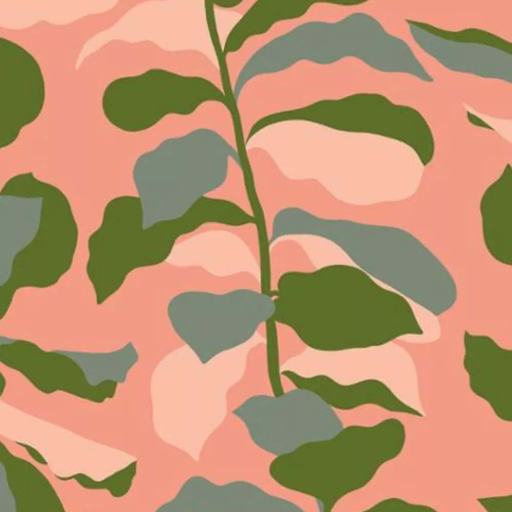 108" Calathea Fiddle Leaf Light Melon