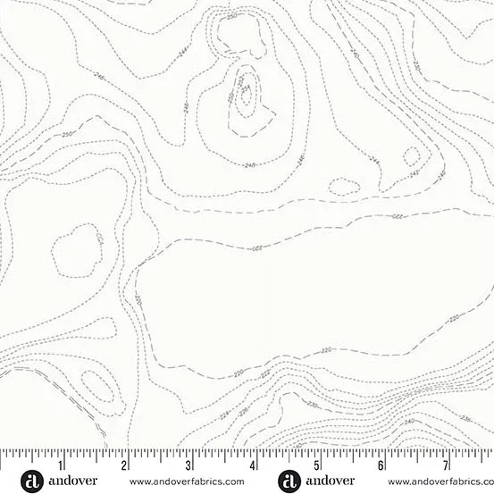 Andover - Alison Glass Sun Print Whisper - Topography Boulder Fabric