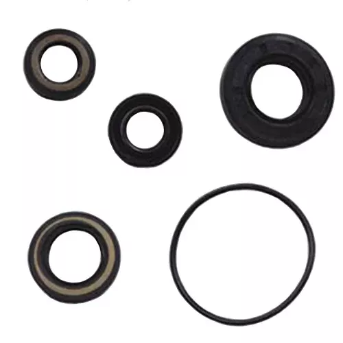 Crankshaft Seal Kit 40-50hp