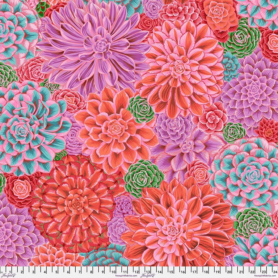 House Leeks - Pink, Feb 2025 Kaffe Fassett Collective