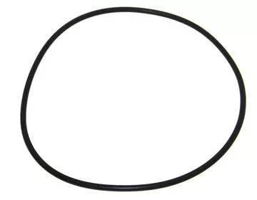 Seal, Cylinder Head O-Ring - Johnson / Evinrude 90-175hp 60-deg, FFI, 40-90hp Etec