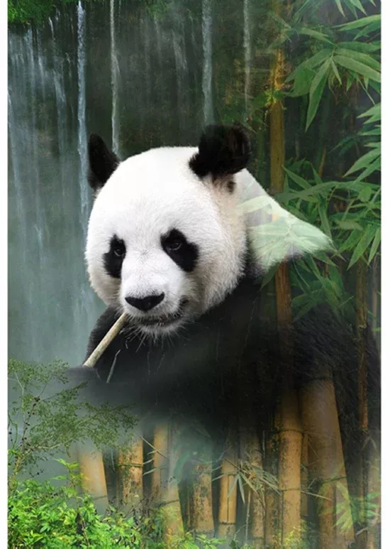 Waterfall R4634 Panda panel- Hoffman Bali Batik